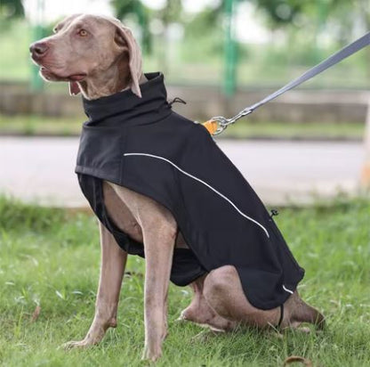 🐶 Waterproof Dog Jacket – Windproof & Warm Outdoor Coat